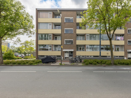 Van IJsendijkstraat 40