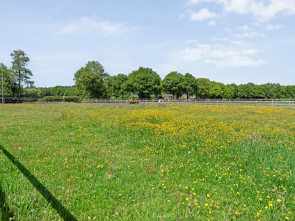 Welsummerweg 36
