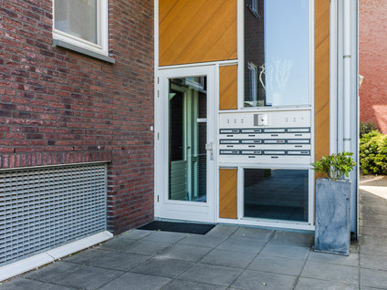 Watermunt 11