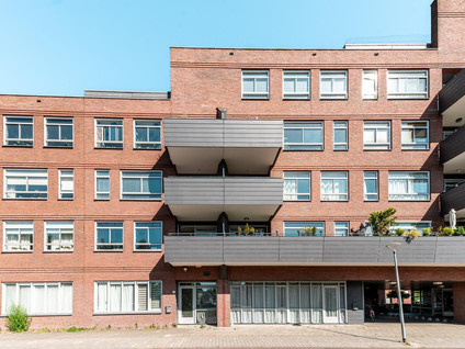 Daan Hoeksemastraat 79