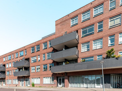 Daan Hoeksemastraat 79