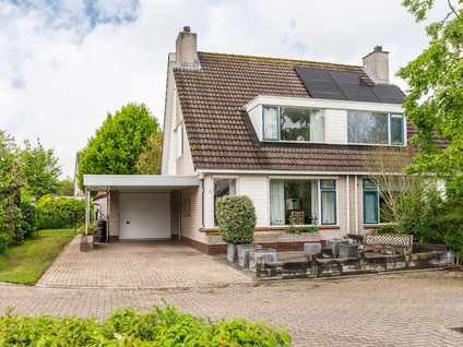 Goudrenet 1