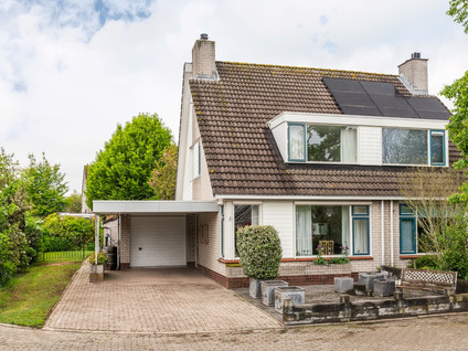Goudrenet 1
