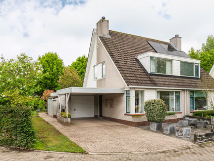 Goudrenet 1