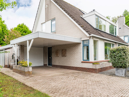 Goudrenet 1