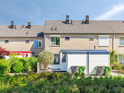 Tulpstraat 23