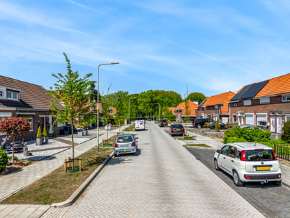 Rozenlaan 41
