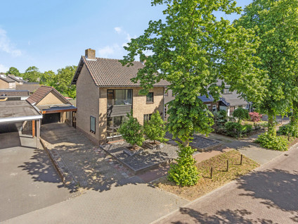 Lindenlaan 41