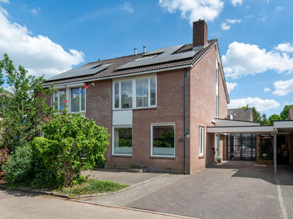 Zilverschoon 21