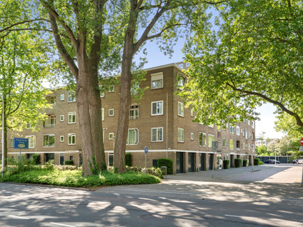 Meander 895