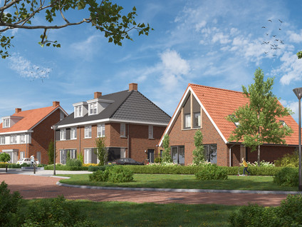 Brandershorst 