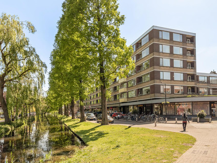 Streksingel 61
