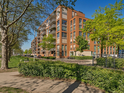 Havendijk 55 45