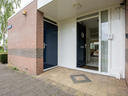 Staartmees 1