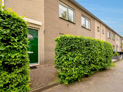 Salsastraat 71