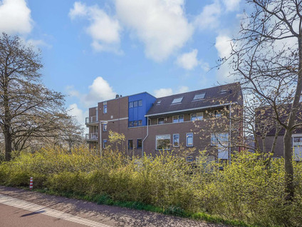 J.J. Heggestraat 74
