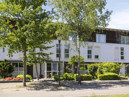 Zandschuit 55