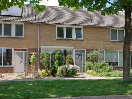 Alsemhof 11