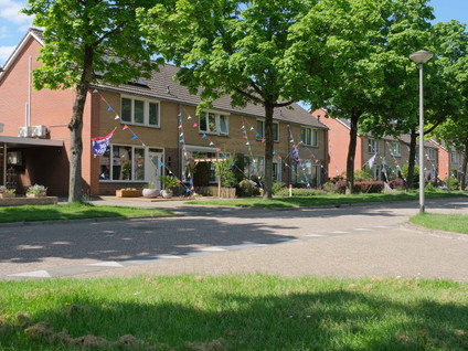 Alsemhof 11