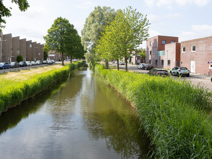 Alikruiksingel 4