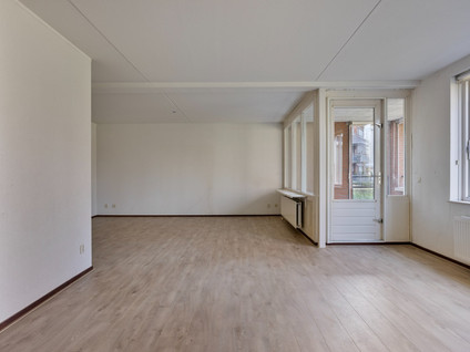Hogaarde 5