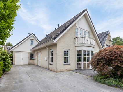 Leverkruid 7
