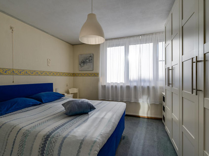 Ribesstraat 6