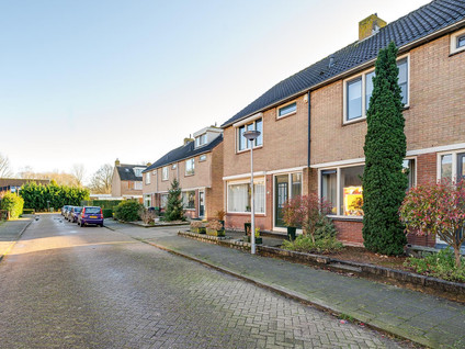 Ribesstraat 6