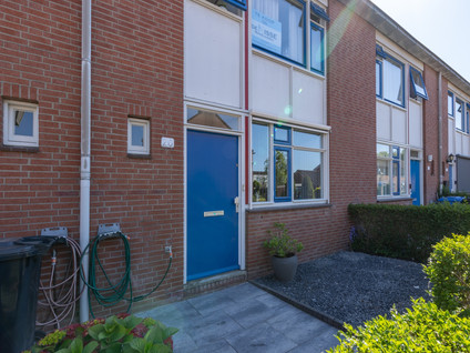 Wildbaan 20