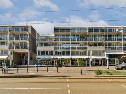 Vierloper 55