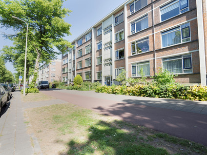 Steenwijklaan 298