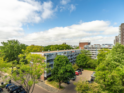 Kievitstraat 36