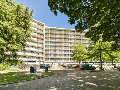 Condorhorst 38