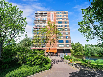 Boerhaavestraat 349