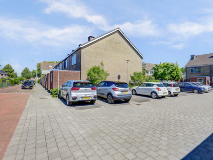 Rietgansstraat 29