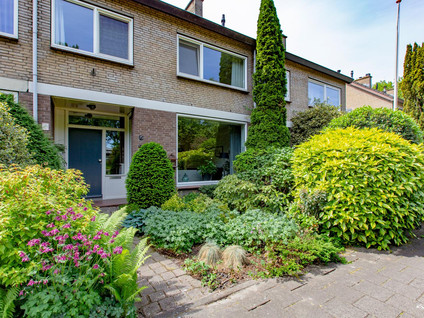 Junostraat 15
