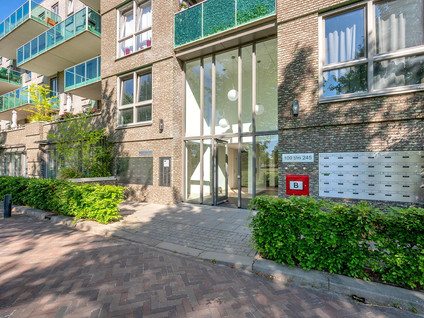 Buenos Airesstraat 233
