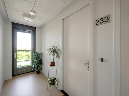 Buenos Airesstraat 233
