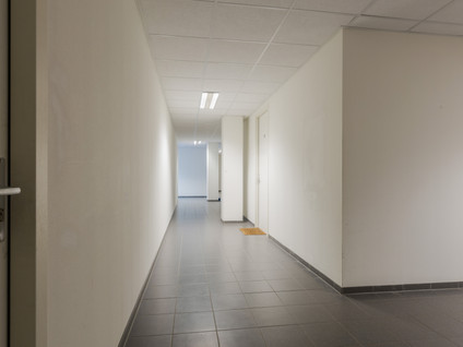 Trompsingel 13