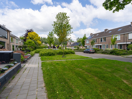 Loevestein 39