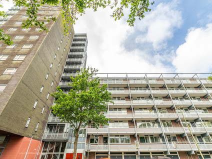 Kievitstraat 36