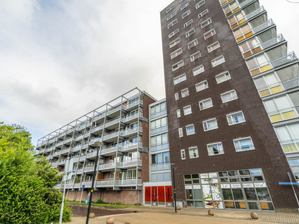 Kievitstraat 36