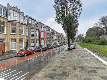 Van Boetzelaerlaan 65A