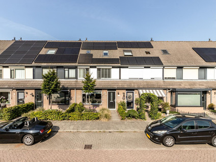 Scholekster 57