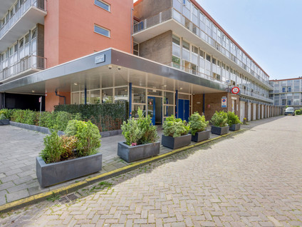 Opaalstraat 138