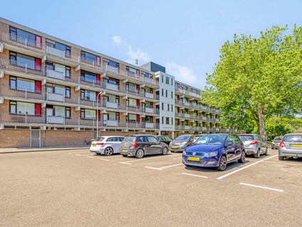 Witte de Withstraat 71