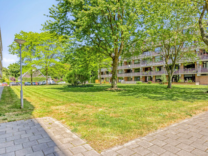 Witte de Withstraat 71