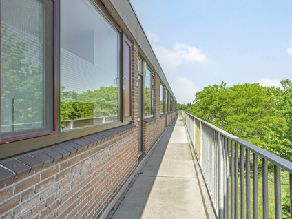 Witte de Withstraat 71