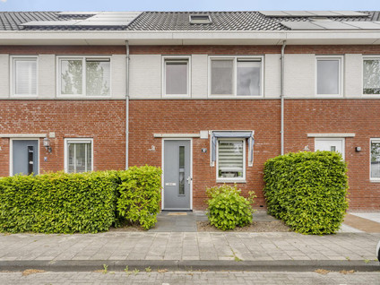 Iepenblad 10