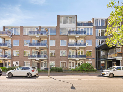 Zuidvliet 456